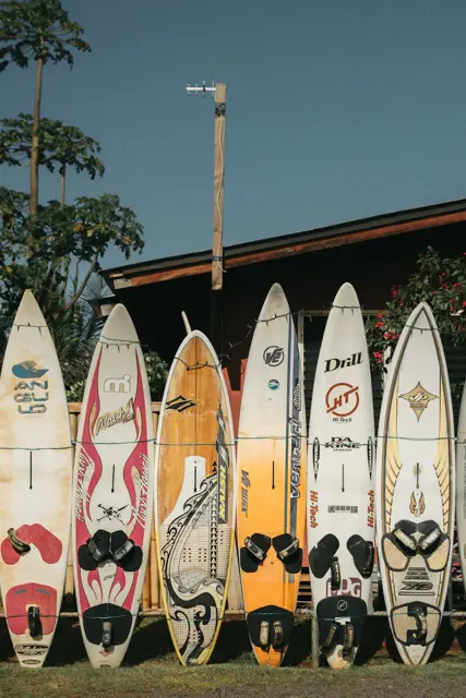 Surfboards stood in a row on the sand