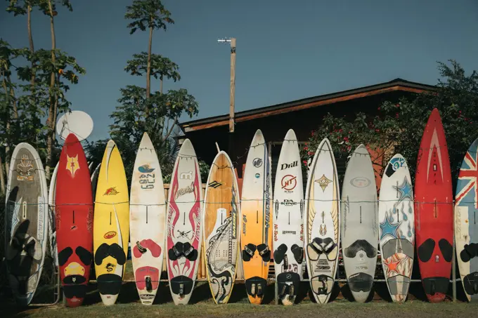 Surfboards stood in a row on the sand