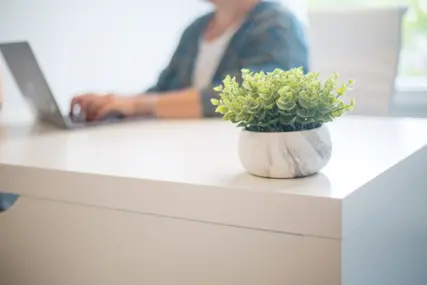 Desk with a small plant