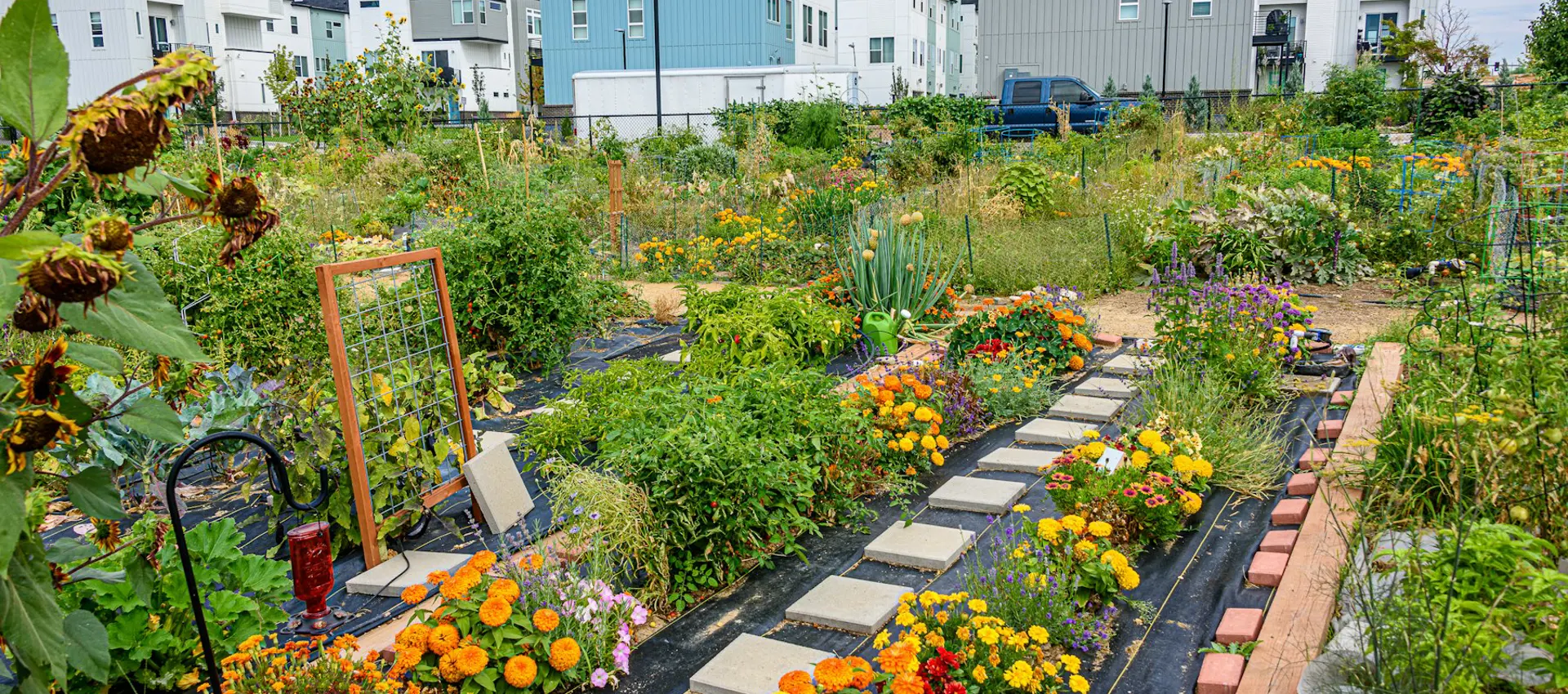 A second allotment